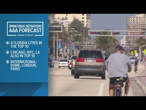 What are the top spring break destinations?