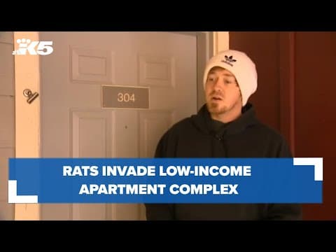 Rat problem in low-income apartments