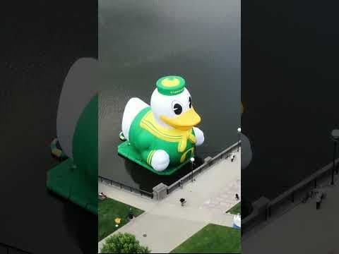 The White River in downtown Indianapolis had an unexpected visitor this morning! 🦆