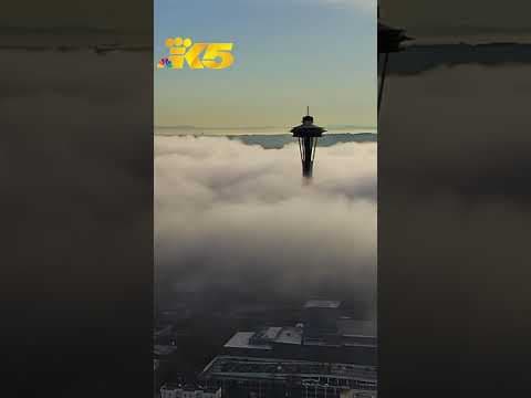 Fog blankets downtown Seattle on Dec. 20, 2023.