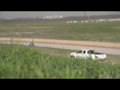 Irving approves Las Vegas Sands plan -- but without casino gaming