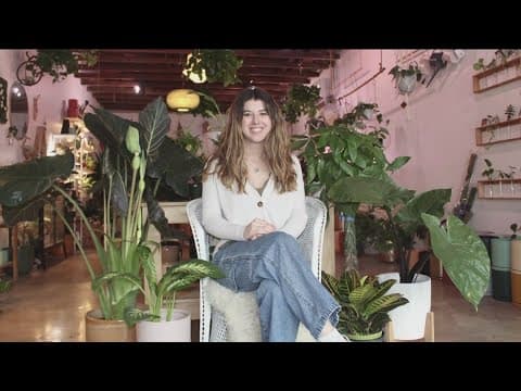 A look into Wild Island Collective