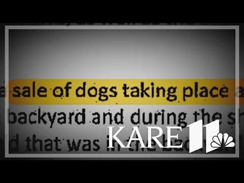 Dog attack search warrant details