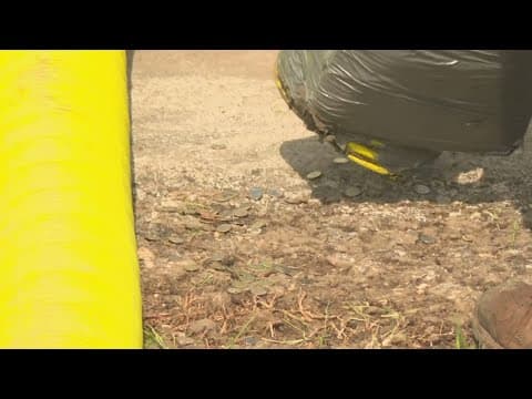 Semi-truck carrying coins crashes, scattering millions of dimes across North Texas highway