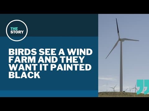 Oregon State University studying how to prevent birds from flying into wind turbines