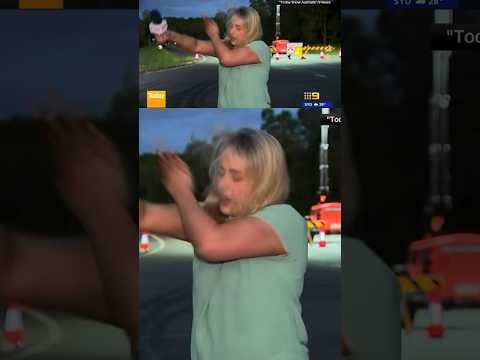 Reporter slaps herself in face swatting a fly