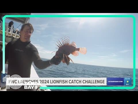 How FWC's 'Lionfish Challenge' Tournament helps protect the environment