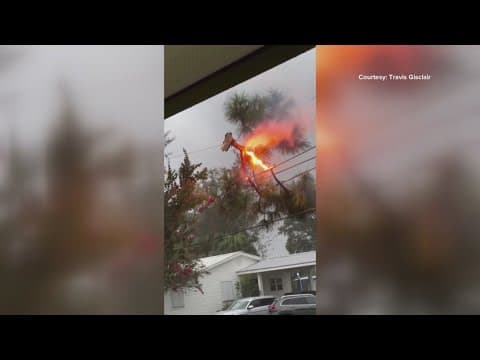 Watch: Flaming tree branch knocks out power in Cut Off neighborhood during Hurricane Francine