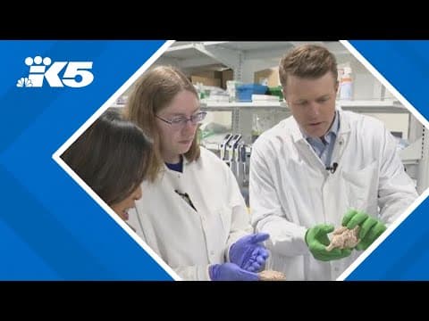 Sneak peek at Allen Institute's "Brainfest"