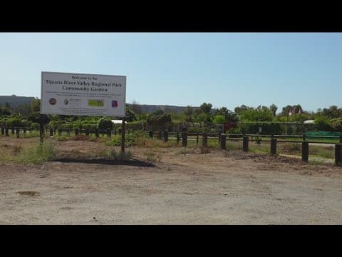 Community garden forced to close due to health concerns from Tijuana River Valley sewage crisis