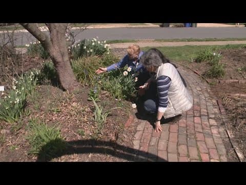 Why gardening with native plants can actually makes a big difference