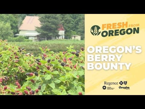 Berries ripe for the picking at Oregon farms
