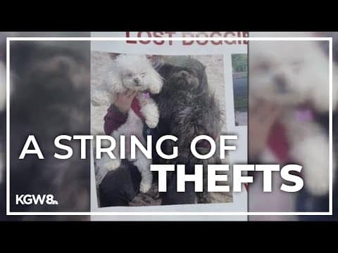 Portland woman's car with two dogs inside stolen in a string of thefts in Southwest Portland