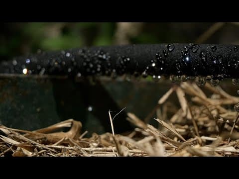 How to keep your foundation safe in the hot Texas summers