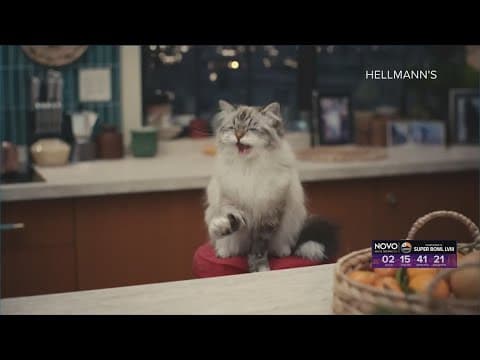 Super Bowl Commercials | Advertisers pay big bucks for viewers' attention