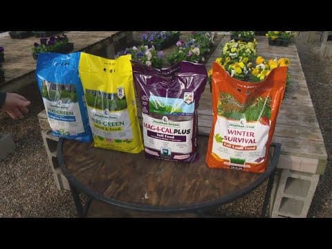 Pat Sullivan's tips for preparing your lawn for the spring season