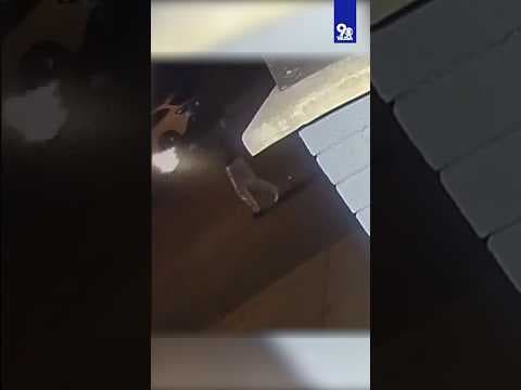 VIDEO: Teen unloads AR-15 into public street in DC