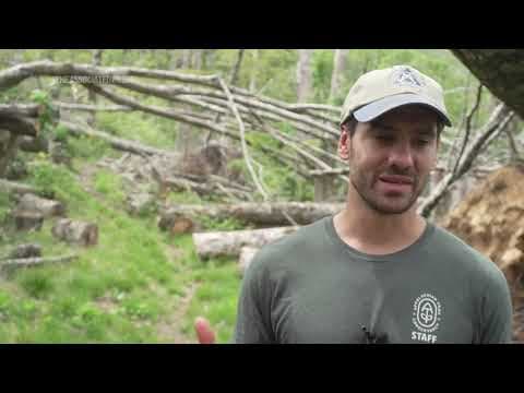 Volunteers repair damaged parts of Appalachian Trail by hand almost a year after Helene