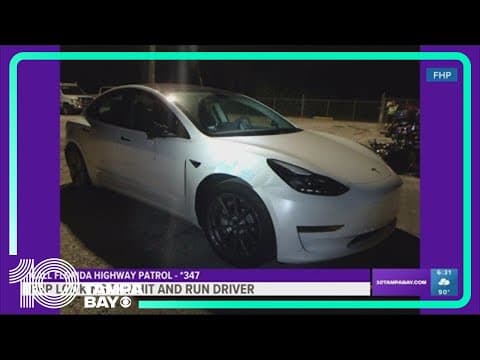 Troopers searching for Tesla driver accused of serious hit-and-run on Gandy Bridge