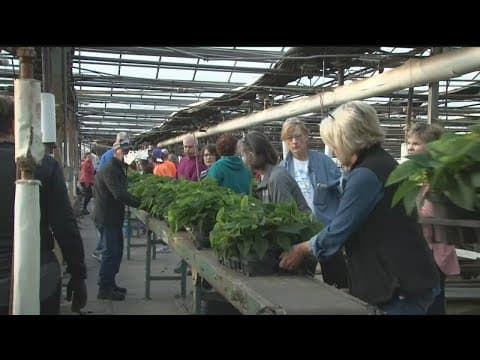 Volunteers help Maple Grove greenhouse rebuild from fire