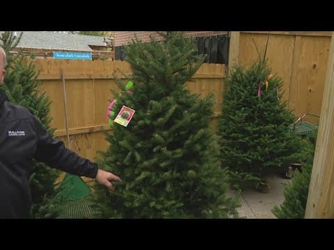 Pat Sullivan's tips for where you can find a fresh cut tree for the holiday season