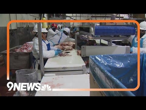 Initiated Ordinance 309: Denver voters deciding on future of slaughterhouse in city limits