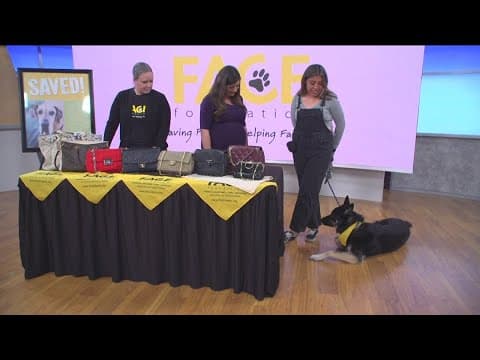 FACE Foundation's 12th annual Bags & Baubles