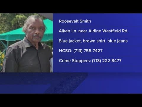 Have you seen him? Missing man last seen in Greenspoint-area neighborhood
