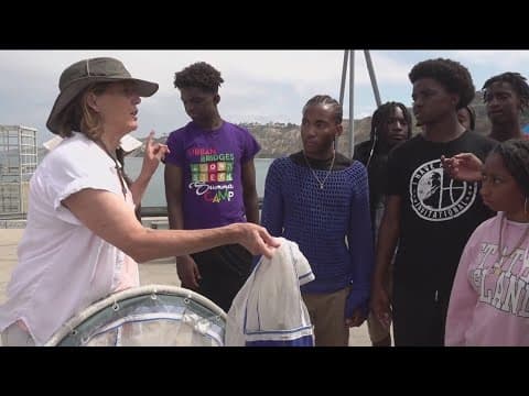 Bridge Builders | Non-profit aims to remove racial barriers through science education