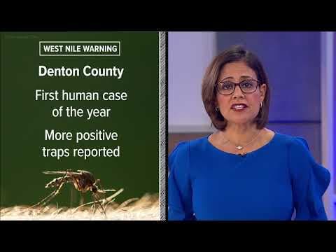 Denton County confirms first human case of West Nile Virus in 2025