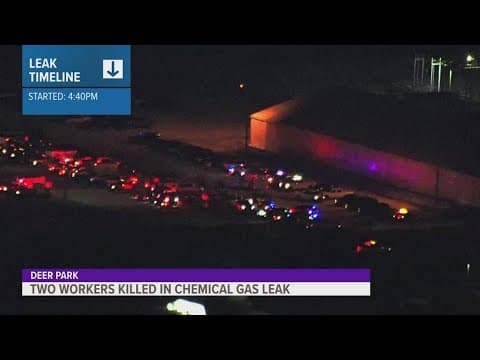 Two workers dead, dozens injured after chemical release at Texas facility, sheriff says