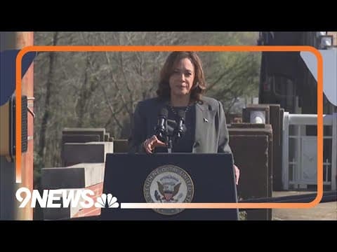 VP calls for 'immediate ceasefire' in Gaza