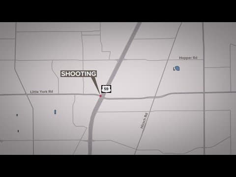 Shoplifting suspects open fire on employee, HCSO says