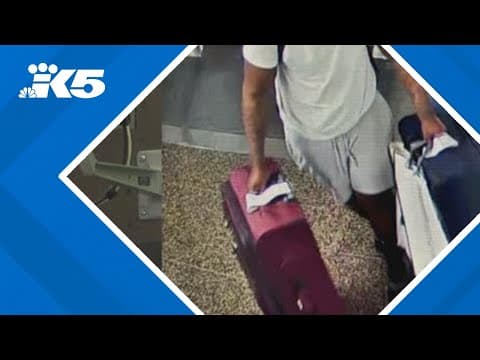 Issaquah couple questions baggage claim security at Sea-Tac after luggage was stolen