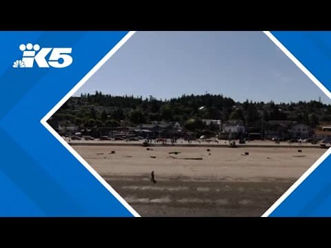 Some Seattle beaches will close early this summer in an effort to reduce illegal activity