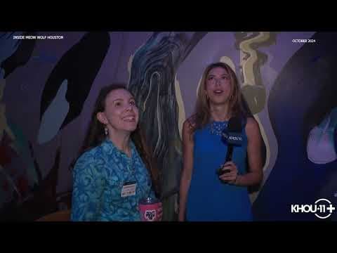 First look inside Meow Wolf Houston -- an immersive art experience