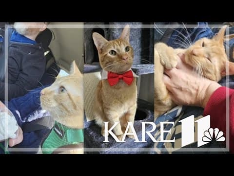 Your Good News: Steph Lang, Peggy Roub