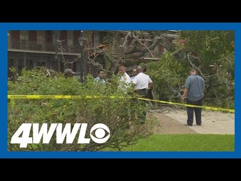 Teen critically injured by collapsed tree in Jackson Square