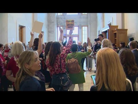 Tennessee state Senate advances bill to arm teachers in classrooms