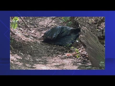 Workers take responsibility for dead bear found in bag on trail