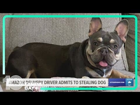 Florida pet detective shares dog breeds most likely to be stolen & how to protect them