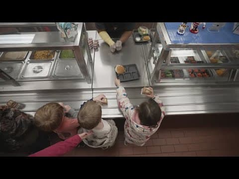 Citywide boil water advisory impact on schools