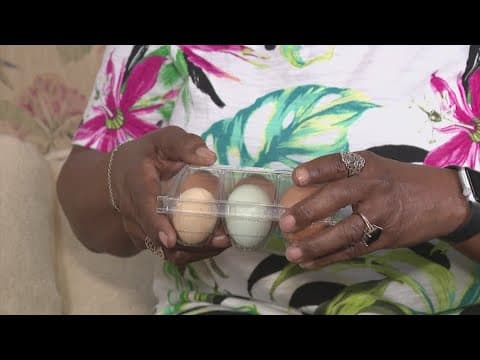 Harris County Pct. 2 delivers fresh eggs to seniors