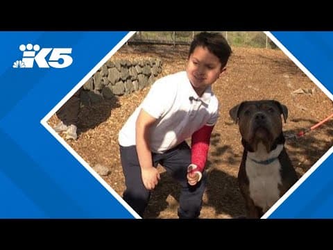 Pierce County boy donates birthday money to Tacoma animal shelter