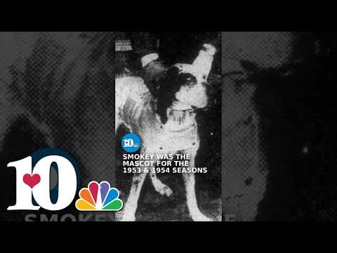The origins of the Tennessee Vols mascot #smokey #tennesseefootball #vols