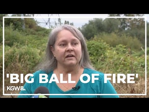 Neighbors recall shocking moment when plane crashed into Fairview townhomes