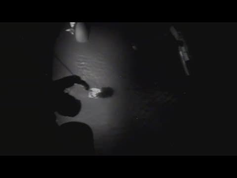 Video shows brave rescue from Coast Guard outside Terrebonne Parish