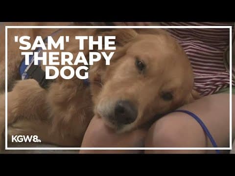 Therapy dog comforting students with autism in Sherwood