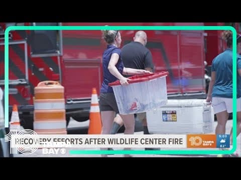 Recovery efforts continue after 'tragic' fire kills animals at Madeira Beach wildlife center