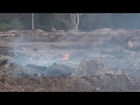 Neighbors complain once again about smoke from land clearing in New Port Richey